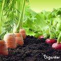Groentezaden Pakket - 15 Essentiële Soorten - Moestuinzaden - Groentezaden - Spinazie Zaad - Tuinkerszaadjes - Sla Zaden - Groentezaden Moestuin - 80gr