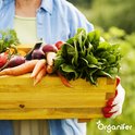 Groentezaden Pakket - 15 Essentiële Soorten - Moestuinzaden - Groentezaden - Spinazie Zaad - Tuinkerszaadjes - Sla Zaden - Groentezaden Moestuin - 80gr