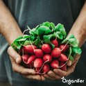 Groentezaden Pakket - 15 Essentiële Soorten - Moestuinzaden - Groentezaden - Spinazie Zaad - Tuinkerszaadjes - Sla Zaden - Groentezaden Moestuin - 80gr