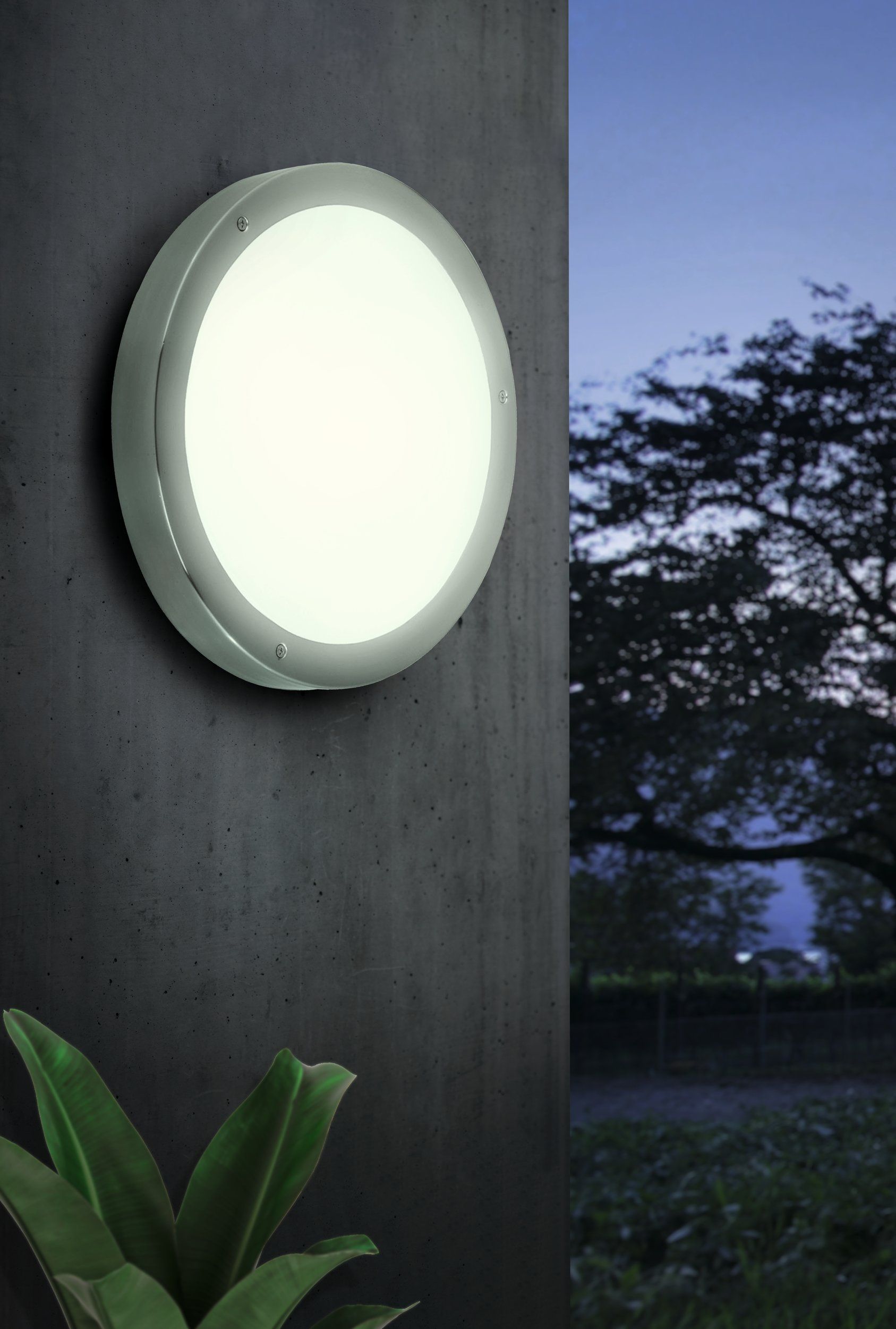 EGLO Vento 1 wandlamp gemonteerd aan een houten gevel, verlicht bij avondlicht met een plant ernaast