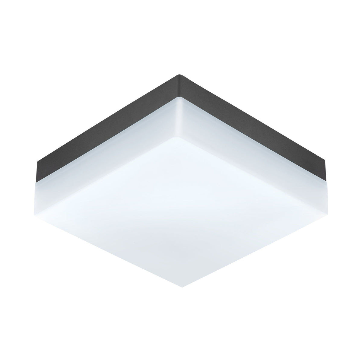 Antracietkleurige EGLO Sonella wand/plafondlamp met wit lichtvlak, onderaanzicht
