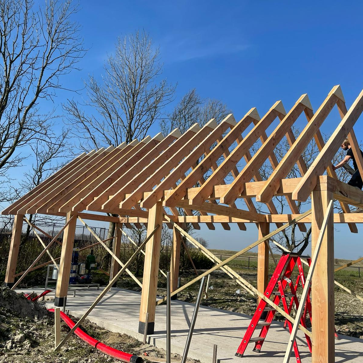 Paal premium douglas 19,0 x 19,0 cm Geschaafd en Gedroogd