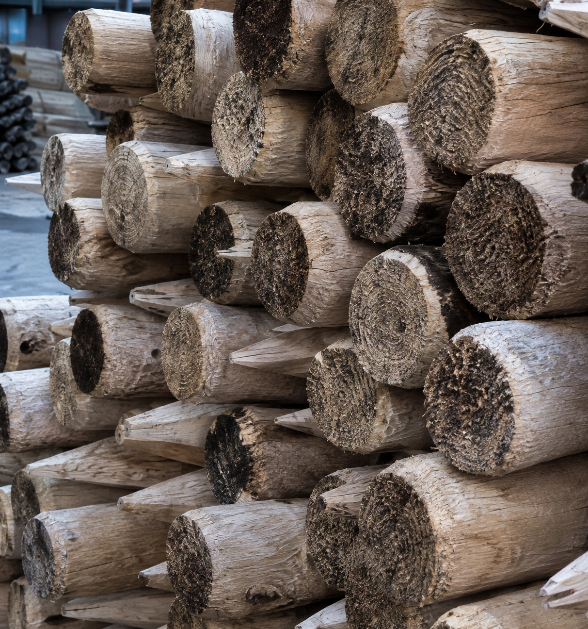 Tenco Stockholmer Teer aangebracht op houten steiger